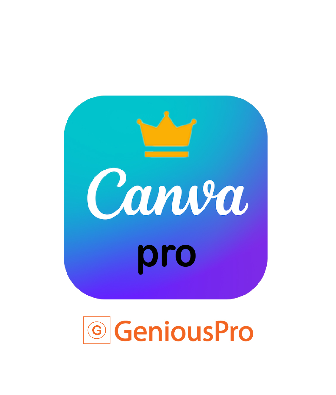 Capcut Pro Premium 1 year  license 